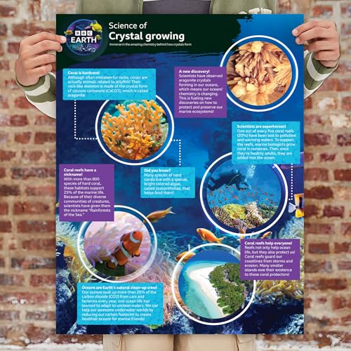 BBC Earth Grow & Discover Crystal Aquarium, Grow Colorful Cave-Like Crystal Formations Inside Reusable Tank, Magic Rocks, STEM Toys, Unique Crystal Growing kit, Science Experiments for Kids 6-8 - style: Crystal Aquarium
