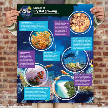 BBC Earth Grow & Discover Crystal Aquarium, Grow Colorful Cave-Like Crystal Formations Inside Reusable Tank, Magic Rocks, STEM Toys, Unique Crystal Growing kit, Science Experiments for Kids 6-8 - style: Crystal Aquarium