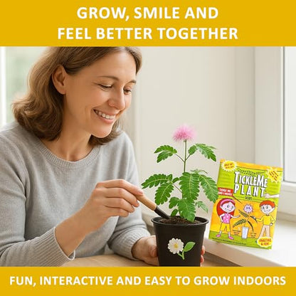 TickleMe Plant Get Well Soon Kit (1 Pack) – Grow A Tickle Me Plant that Reacts to Touch – Leaves Fold Up When You Tickle Them – Full Grow Kit of Sensitive Plants Seeds for Kids to Grow Indoors - style: Get Well Gift