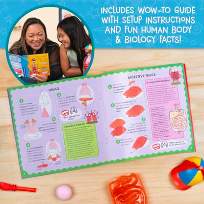 Wow in The World The Amazing Human Body Kit by Thames & Kosmos, Interactive Mechanical Anatomy Model w/Pumping Heart, Lungs, Digestive Tract, Glow-in-The-Dark Bones, Brain & More, Science for Ages 4+