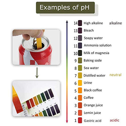 6 Pack pH 1-14 Litmus Test 480 Strips with Storage Case for Urine, Water, Soil Testing and Pet Food Monitoring - size: 480 count (Pack of 6)