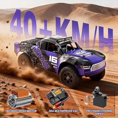 X-TMAGA 1:16 All Terrain RC Cars, 4WD Off-Road Remote Control Car (HS16-83) - color: Purple