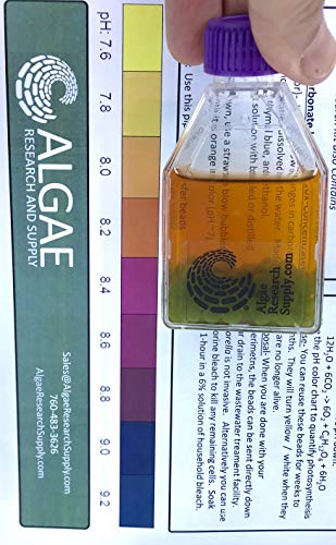 Algae Research and Supply: Algae Beads (Ready-to-go Algae Beads in Indicator- snap vials (x10)) - style: Ready-to-go Algae Beads in Indicator- snap vials (x10)