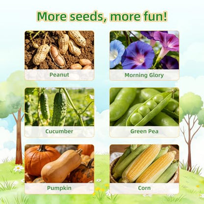 TitaniX Root Viewer Kit for Kids with 6 Seed Varieties, STEM Science Toy & Craft Growing Kits for Boys & Girls, Grow Your Own Plant for Ages 4-8 Birthday Gifts for Boy,4, 5, 6, 7, 8, Year Old