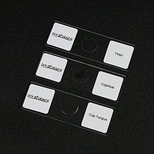 Prepared Bacteria and Fungi Microscope Slide Set, 9pcs Slides for Biology Teacher Students Micro Organisms Science Education - color: Bacteria & Fungi