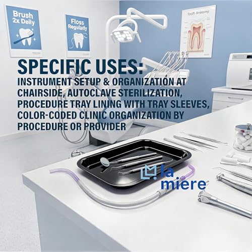 LA MIERE Dental Autoclavable Procedure Flat Tray Medical Instrument Set Up Flat Tray Size F - 9 5/8" W x 6 5/8" D x 7/8", Black - color: Black