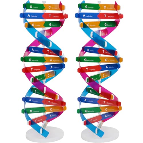 Veemoon Double Helix DNA Model, 2pcs DNA Components Kit Organic Chemistry Biological Science Educational Teaching Instrument Molecular Popularization Aid Props for Home Classroom Genes Learning