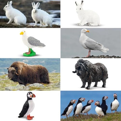 Toymany 14PCS Mini Arctic Animals Figurines Set, Polar Animals Toys with Polar Bear, Caribou, Penguin, Walrus, Wolf Figurines Cake Toppers Birthday Easter Gifts for Preschool Kids - color: Arctic