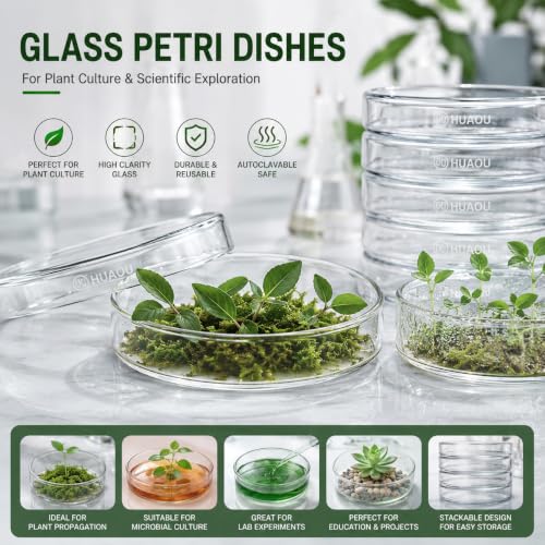 10pcs 90mm Glass Sterile Petri Dishes with Lids - size: 90mm