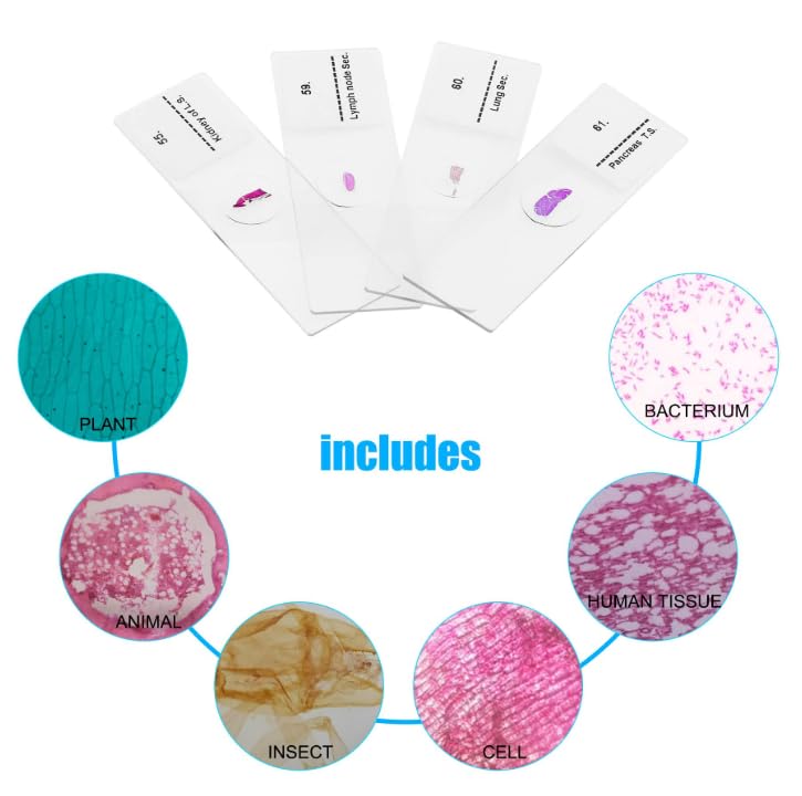 100 Pcs Prepared Microscope Slides with Specimens for Kids Learning