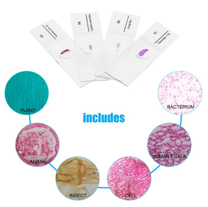 100 Pcs Prepared Microscope Slides with Specimens for Kids Learning