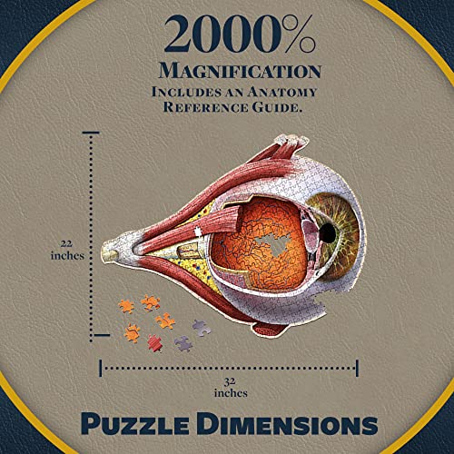 Dr. Livingston's Human Eye Anatomy Puzzle - A Medically Accurate Jigsaw Puzzle of the Human Eye - Educational Science Puzzles and Unique Gifts for Eye Doctors, Nurses and Medical Students - style: The Human Eye