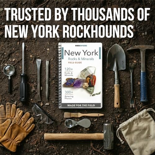 New York Rocks and Minerals Identification Field Guide | Waterproof