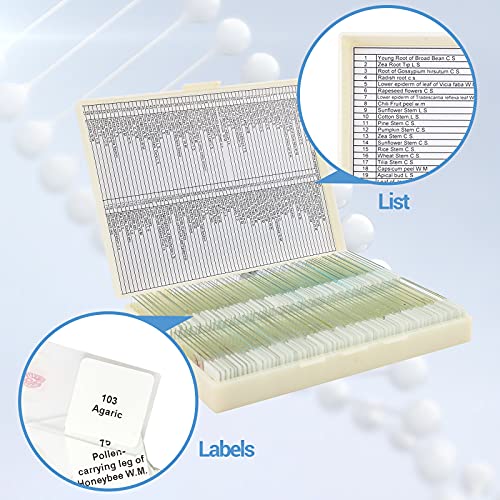 120 Microscope Slides with Specimens for Kids: Prepared Slides for Science - size: 120pcs