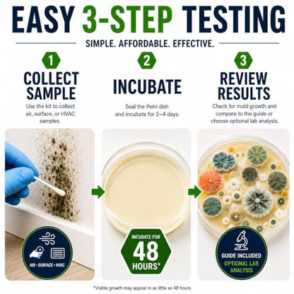 Mold Test Kit for Home by Evviva Sciences - Black Mold Test Kit w/Optional Lab Analysis (Extra Fee) - Mold Air Test Kit - 10 Easy Detection Tests for Indoor Air, HVAC & Surfaces - DIY Mold Detector
