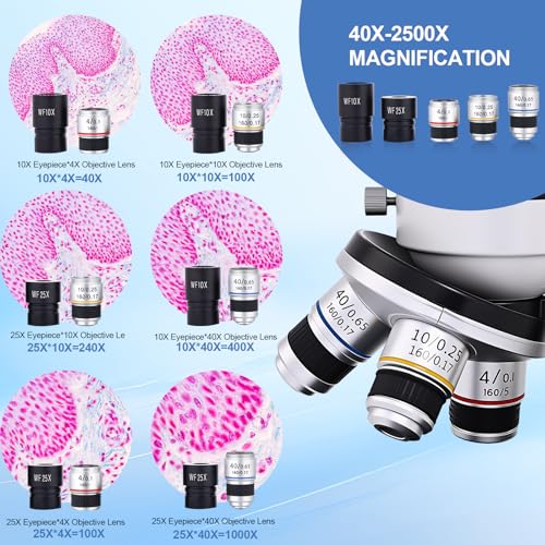 Microscope for Adults & Kids, 40X-2500X High-Power Compound Microscope for Students, School Lab & Home Schooling,Equiped with Slides Set & Phone Holder (Black and White) - color: black and white