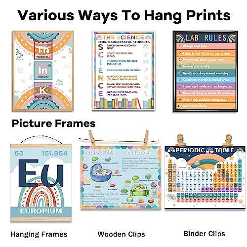 12 Periodic Table Poster Science Posters For Classroom Middle School Science Bulletin Board Sets For Classroom Science Posters For Middle School Classroom Decor Middle School Poster Large Boho Rainbow - style: boho rainbow