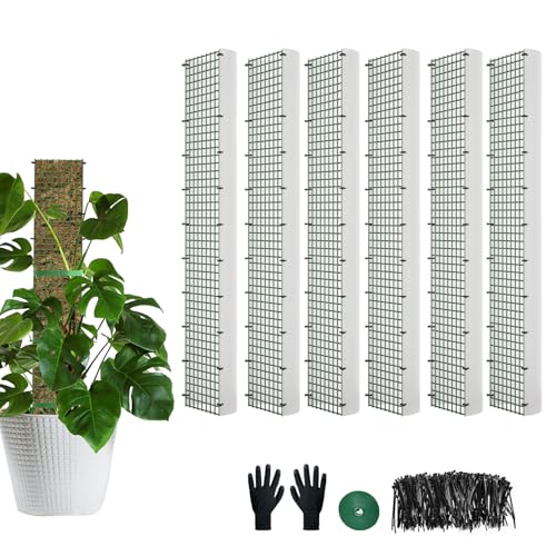 60"/40"/24" Metal Moss Pole, D Shape Sphagnum Moss Pole, Moss Poles for Climbing Plants, Monstera, Indoor Climbing Plants (4Pcs 24") - style: 4Pcs 24"