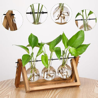 YIBOT Plant Propagation Stations with Wooden Stand & 3 Glass Bulb Vases - size: 3Bulb-A