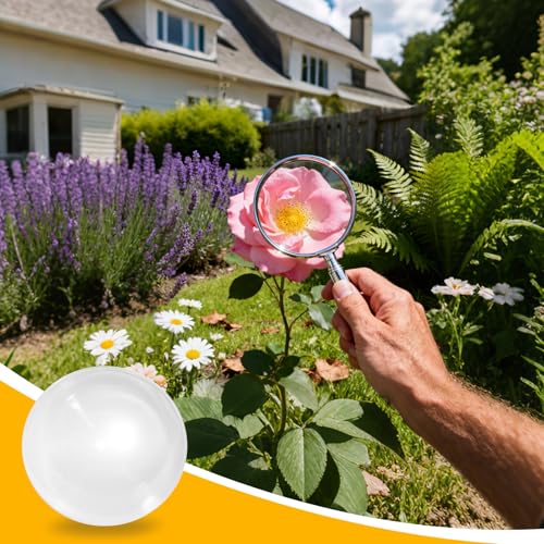 PATIKIL Acrylic Fresnel Lens, 200mm Dia, 260mm Focal Length, Transparent - size: 200mm Dia, Focal Length 260mm