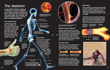 Complete Book of the Human Body: An Engaging Illustrated Guide About Anatomy and Biology for Kids (Ages 8-12)