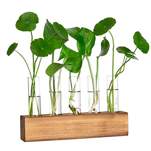 YIBOT Plant Propagation Station, Plant Terrarium with Wooden Stand - color: Brown, size: 8.7"L x1.6"W x2"H