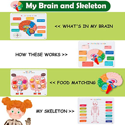 Freebear Montessori Busy Book for Kids, Human Body Anatomy Book for Toddlers, Preshool Kindergarten Learning Activities, Autism Sensory Toys, Travel Toys, Gifts for Girls and Boys 4 5 6 7 8 Years - style: Human structure 1