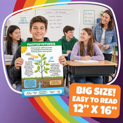 Sproutbrite 8 Pack 12" x16” Plant Cells & Human Body Science Posters