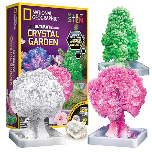 National Geographic Crystal Growing Craft Kit to Create a Crystal Garden - style: Crystal Garden Growing Kit