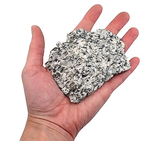 EISCO Raw Porphyritic Granite, Igneous Rock Specimen - Hand Sample - Approx. 3"- Geologist Selected & Hand Processed - Great for Science Classrooms