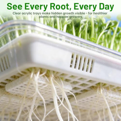 Acrylic Microgreens Growing Trays 3-Pack with Silicone Mats & Spray Bottle – Clear Hydroponic Germination Kit for Vegetables, Wheatgrass, Cat Grass – Soilless Trays for Home Kitchen & Classroom