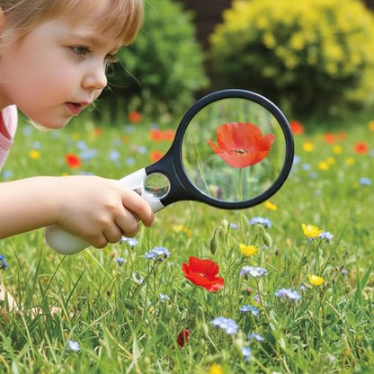 Magnifying Glass with Light, Portable Handheld Reading Magnifier