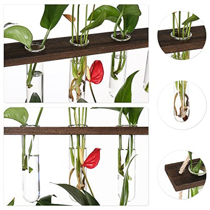 YIBOT Plant Propagation Stations with Wooden Stand 15 Glass Test Tubes Vase - color: Brown, size: 14"L x 14"W x 35"H