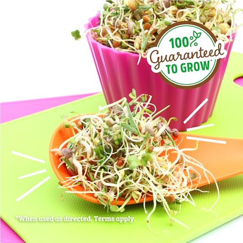 Back to The Roots 100% Organic 5-Part Salad Seeds | 1 Pound Non-GMO | Nutrient Dense, Easy to Grow, Rich in Fiber - color: Salad Mix 1lb