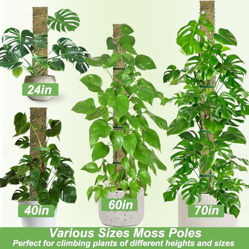 60"/40"/24" Metal Moss Pole, D Shape Sphagnum Moss Pole, Moss Poles for Climbing Plants, Monstera, Indoor Climbing Plants (3 Each of 60" 40" 24") - style: 3 Each of 60" 40" 24"