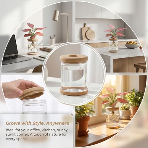 Propagation Stations,Plants Propagation Station Desktop Plant Terrarium Glass Hydroponic Vases, Water Plant Jars, Gardening for Women Mom Plant Lovers,1Pcs