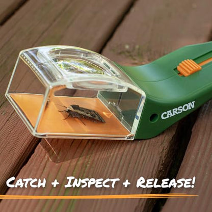 Carson BugView 5X Magnifying Glass Quick-Release Bug Catcher Indoor and Outdoor Tool for Kids or Adults (HU-10) - size: Single Pack