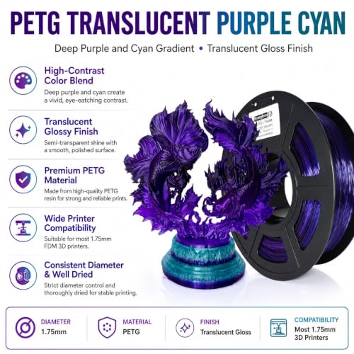 PETG 3D Printer Filament 1.75 mm,Translucent,Multi Color,Midnight Galaxy Purple Blue,Shiny PETG Filament,net Weight 1 kg(2.2lbs) - color: Petg Purple Gradient