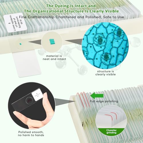 120 Prepared Microscope Slides with Specimens,Glass Slides for Microscope,Prepared Slides Microscope,Microscope Slide Preparation Kit for Biology Science Classes - size: 120 pcs