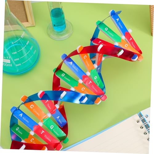 Kisangel DNA Kit Self Double Helix Model Kit Assembling DNA Display Stand Human Genes Learning Toy Biological Teaching Aid Science Molecular Model Kit
