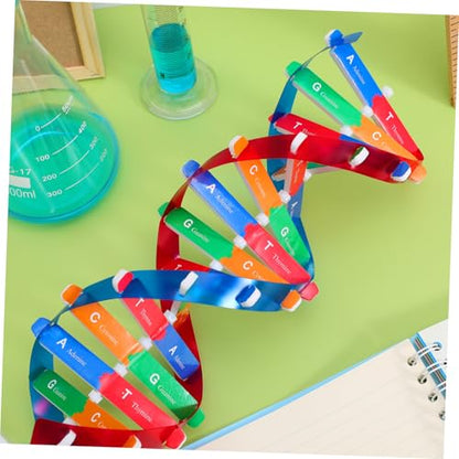 Kisangel DNA Kit Self Double Helix Model Kit Assembling DNA Display Stand Human Genes Learning Toy Biological Teaching Aid Science Molecular Model Kit