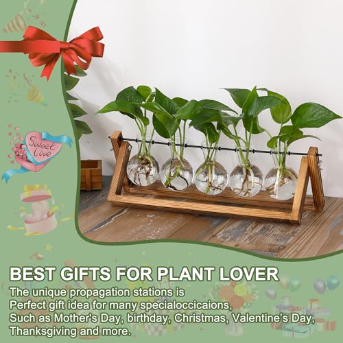 YIBOT Plant Propagation Stations with Wooden Stand & 5 Glass Bulb Vases - size: 5Bulb-A