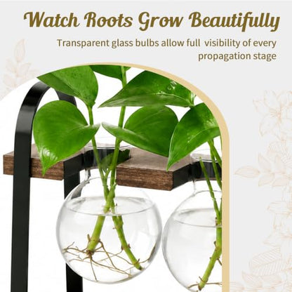 3-Bulb Plant Propagation Station, Glass Vase Terrarium, Brown - color: Brown