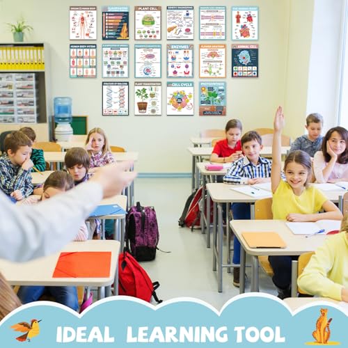 Yiaoyinnz 16Pcs Boho Biology Science Posters for Classroom - color: boho
