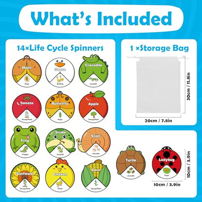 Kasfalci Life Cycle Toys for Kids,Back to School Supplies,Animal Plant Insect Bug Ladybug Butterfly Tadpole to Frog Kit,Montessori Learning & Education Toys,Preschool Science Learning Activities - style: Life Cycle
