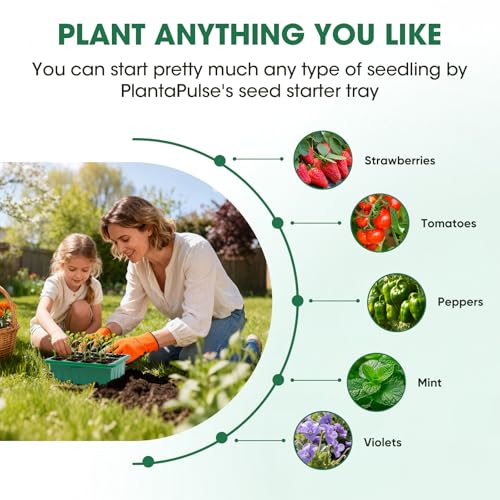 Seed Starter Kit with Humidity Dome, 5 Packs 60-Cell Trays