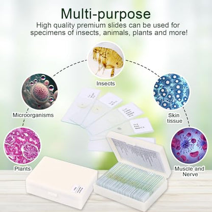 30 Microscope Slides with specimens, Plants, Insects, Animal Cell Samples for use in Biological Science Labs for Children, Students and homeschools - size: 30pcs
