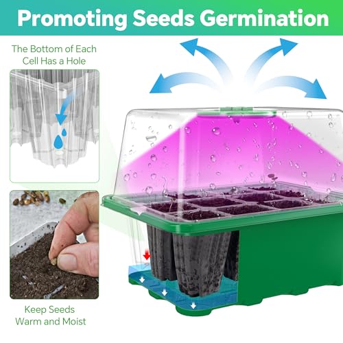 5-Pack Seed Starter Tray with Grow Light (Value Pack), 60 Cells, Friendly Seed Starter Kit for Beginners, Adjustable Brightness & Timing, Easy-to-Use Gardening Set for Seeds Germination