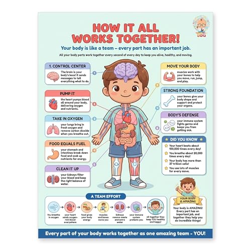 JELLY BEAN GENIUS Human Body Systems Poster – Laminated Dry-Erase Anatomy Chart for Classroom & Homeschool | How the Body Works Science Wall Poster 8.5x11 - color: How the Body Works