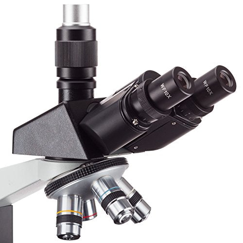 AmScope T490B-5MT Digital Compound Trinocular Microscope, WF10x and WF20x Eyepieces, 40X-2000X Magnification, Brightfield, Halogen Illumination, Abbe Condenser, Double-Layer Mechanical Stage, Sliding Head, High-Resolution Optics, Includes 5MP Camera with